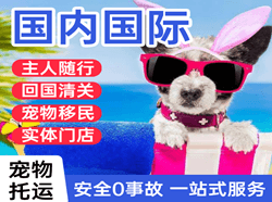 巴马机场托运国际宠物托运 【国